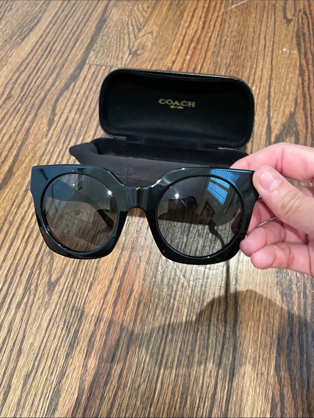 Coach Black Gloss Oversized Cat-Eye Sunglasses